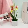 Flowers Faux Three Butterfly Orchid Green Plant For Home Office Decoration