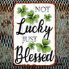 Metal Poster Blessed Not Lucky St Patricks Day Irish Blessing Wall Decor