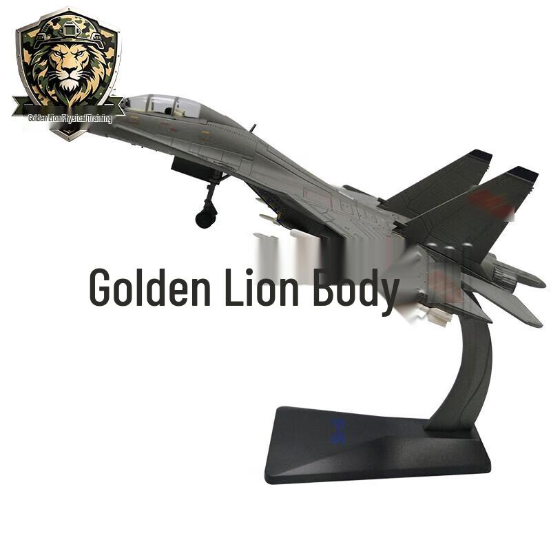 J-16 Fighter Jet Alloy Model