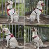 Reflective Dog Harness and Leash Set