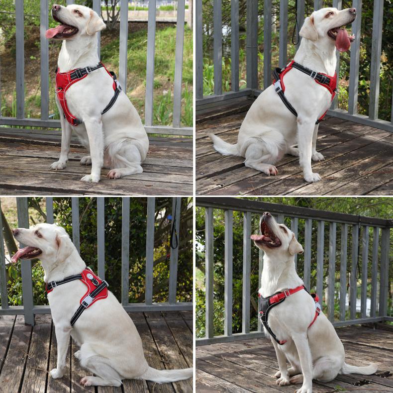 Reflective Dog Harness and Leash Set