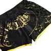 Unisex Muay Thai Shorts Ice Silk Printed Embroidery Elastic Waist Boxing Fight Kickboxing Grappling Training Workout Gym Shorts