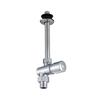 Bathroom Brass Push Button Water Saving Eco-Friendly Wall-Mounted Hotel Use Chrome Plated Flush Valve for Toilet Urinal