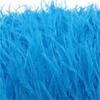 Feather1 Bundle Piume di Struzzo Naturali Filo Colorato 10-15/15-18CM Piumaggio Soffice Per Abiti Borsa Decorazione Artigianato Cucito