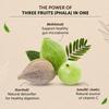 Organic Triphala Powder - 100 GM | Supports Immune System, Colon & Digestion