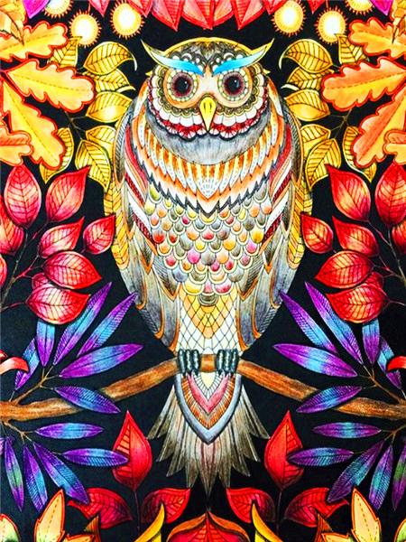 5d Diamond Painting New Owl Cartoon Full Square/round Embroidery Colorful Bird Animal Mosaic Home Decor