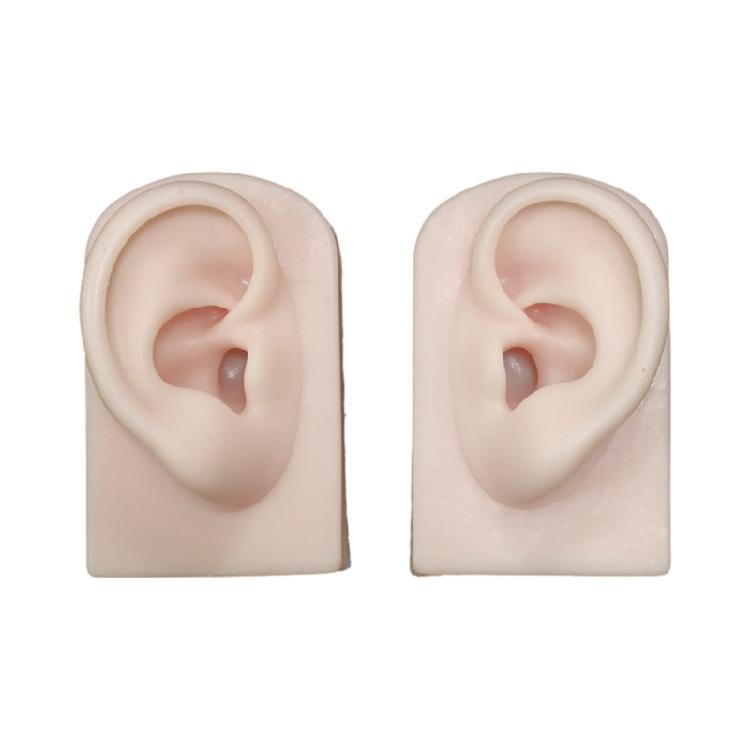 Artificial Left Right Ear Model Silicone Ear Mannequin for Accessories Display Human Ears Shaped Jewelry Exhibition Rack