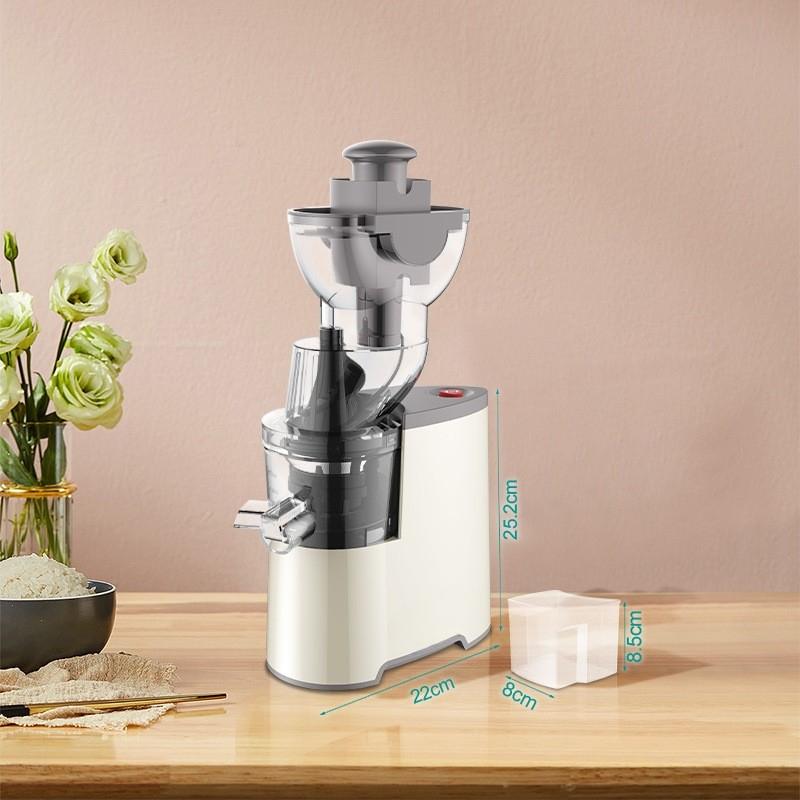 2L Velkokapacitní Elektrický Odšťavňovač Kuchyňský Vysokorychlostní Mixér Výkonný Stroj na Pomalu Lisované Ovoce a Zeleninu