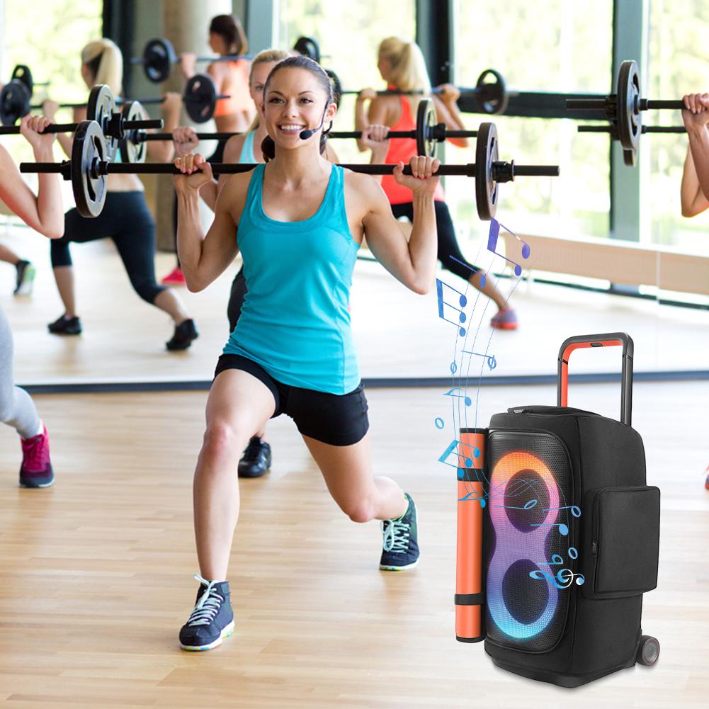 Speaker Carry Box for JBL PARTYBOX 520 Storage Bag Anti-Slip Padded Speaker Protective Cover Double-Sided Speaker Storage Bag