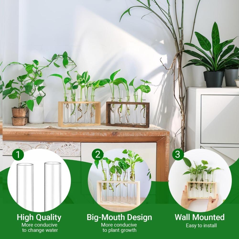 3/5 Tubes Wall Hanging Hydroponic Plant Propagation Glass Vase with Wooden Stand Desktop for Home Office Planter Garde Decor