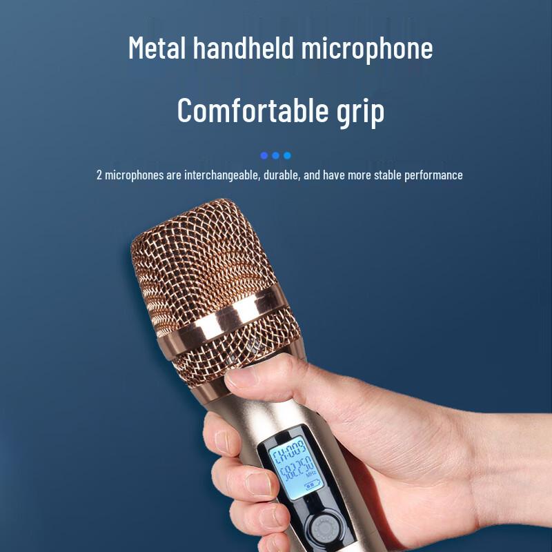 HDCON HT-P220S8 UHF Handheld Wireless Microphone System (CN version)