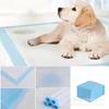 Disposable Thickened Pet Urine Pad - Dog Diaper & Training Toilet Mat