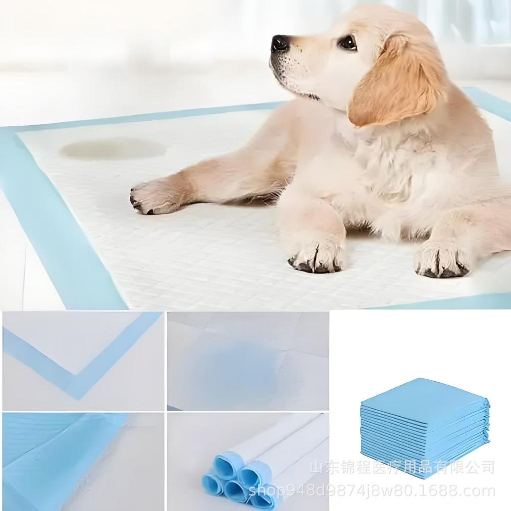 Disposable Thickened Pet Urine Pad - Dog Diaper & Training Toilet Mat