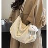Today's popular bags women's new high-end shoulder bags large-capacity messenger bags commuter dumpling bags