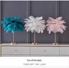 Ostrich Feather Romantic Floor Lamp - French Influencer Style for Living Room or Bedroom