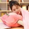3in1 Fruit Pattern Pillow Blanket Carrot Cactus Pineapple Plush Toy Decoration