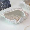 Creative Conch Ceramic Tray Light Luxury Home Decor Trays Decorative Entrance Jewelry Storage Tray High End Organizer Box