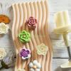 24TE Plastik Mondkuchenform Pflaumenblüte DIY Mondkuchenstempel DIY Mondkuchenformen für das Mittherbstfest Mondkuchen backen