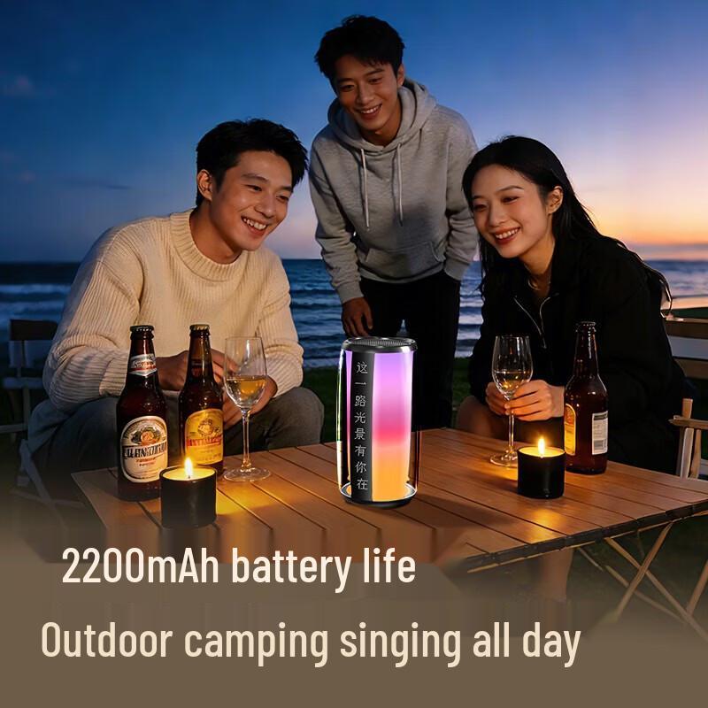 Newmine K19 Mini Bluetooth KTV Speaker with Dual Microphones CN Plug (adapter Included)