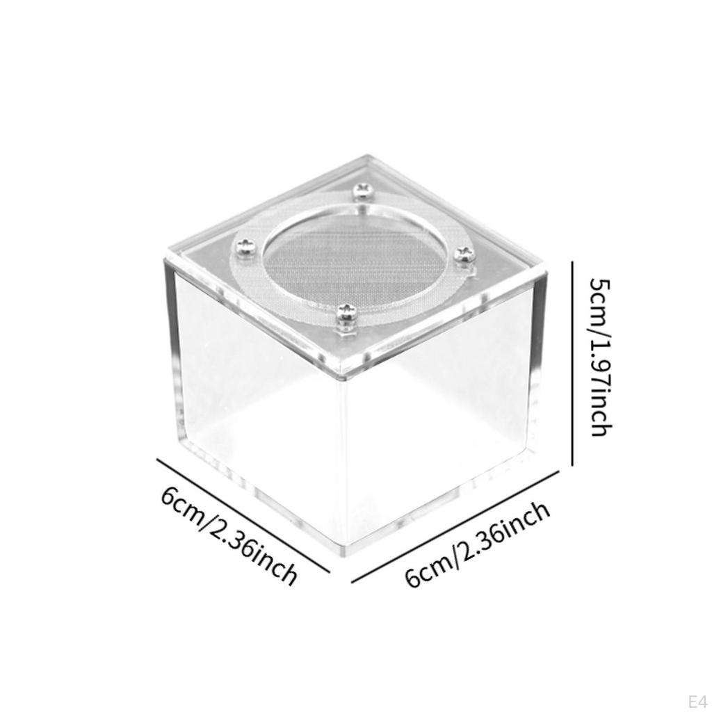 Box Reptile Breeding Acrylic Practical Sturdy Terrarium Enclosure for Silkworm Scorpion