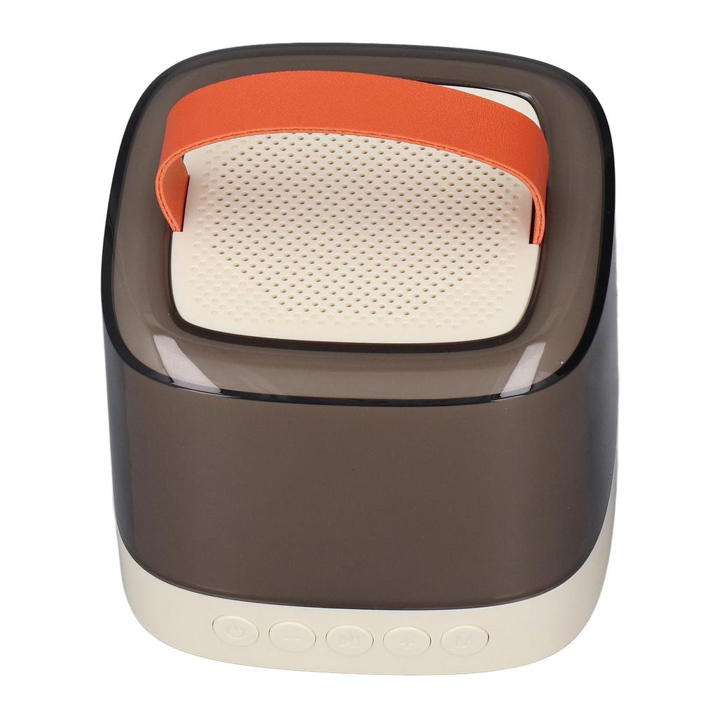 Mini Karaoke Machine Long Battery Life Wireless Portable Bluetooth Speaker with Microphone for Kids