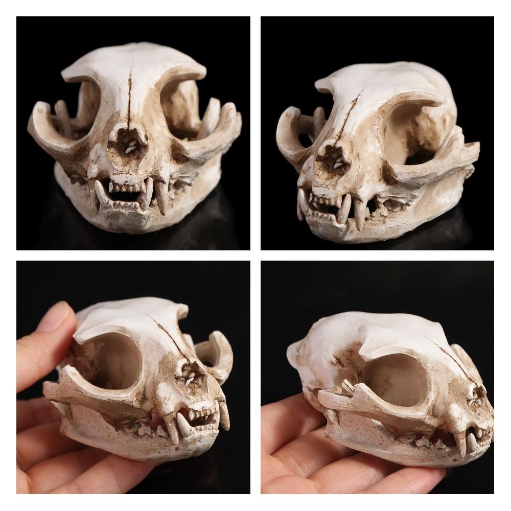 Scary Animal Skull Ornament Funny Cat Skull Statue Artificial Skull Head Halloween Decor Gifts