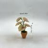 1Pcs Home Decor Mini Taro Turtle Back Green Potted Plants For Dollhouse Scandinavian Style Model Decoration Props