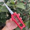Stainless Steel Fruit Harvesting Shears Pruning Scissors for Orchards Branches Bonsai & Vegetable Fruit Thinning