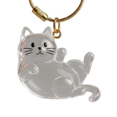 Clear Acrylic Pet Hair Storage Box with Cats Decoration Convenient Loose Furs Collector For Home Decors And Keychain Use