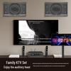 Malone KT-330 Professional Home KTV Audio System CN Plug (adapter Included)