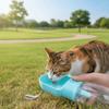 Large Capacity Portable Pet Water Bottle Leak Proof Water Dispenser  Outdoor Walking