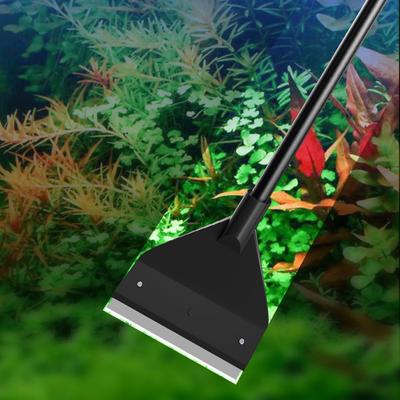Akvariedjur – Akvarievård & Skötsel