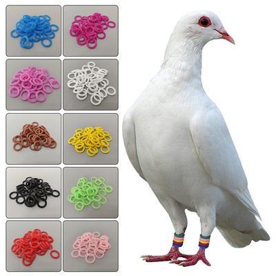100Pcs Pigeon Bird Foot Rubber Ring Elastic Mixed Colors 8Mm Pigeon Identification Foot Rings for Quails Pigeons Bird Appliances