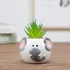 Table Decor Ornament Flower Planter Garden Supplies Bonsai Accessories Flowerpot Succulent Potted