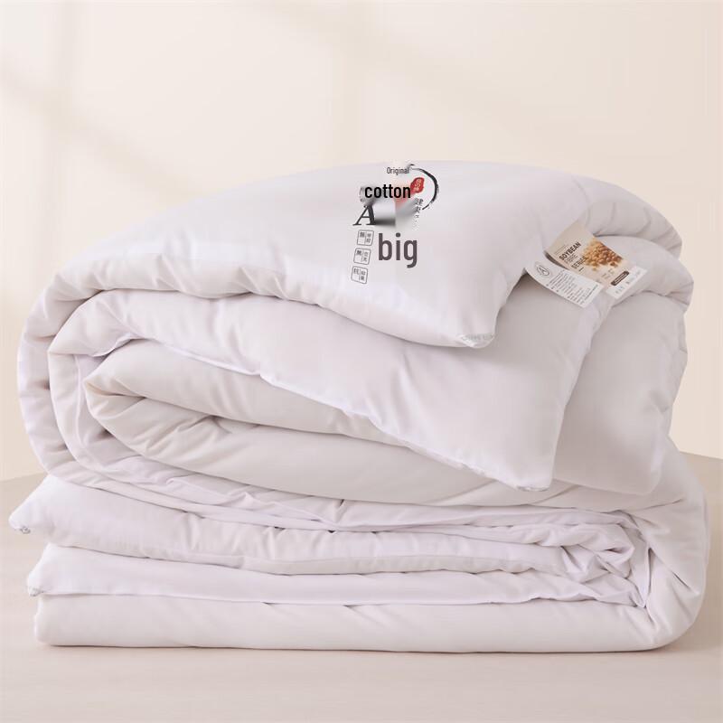 Manya Ju Warm Winter Comforter