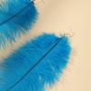 Ethnic Style Long Feather Earrings, Travel Photo Accessories, Stage Catwalk Performance Feather Accessories