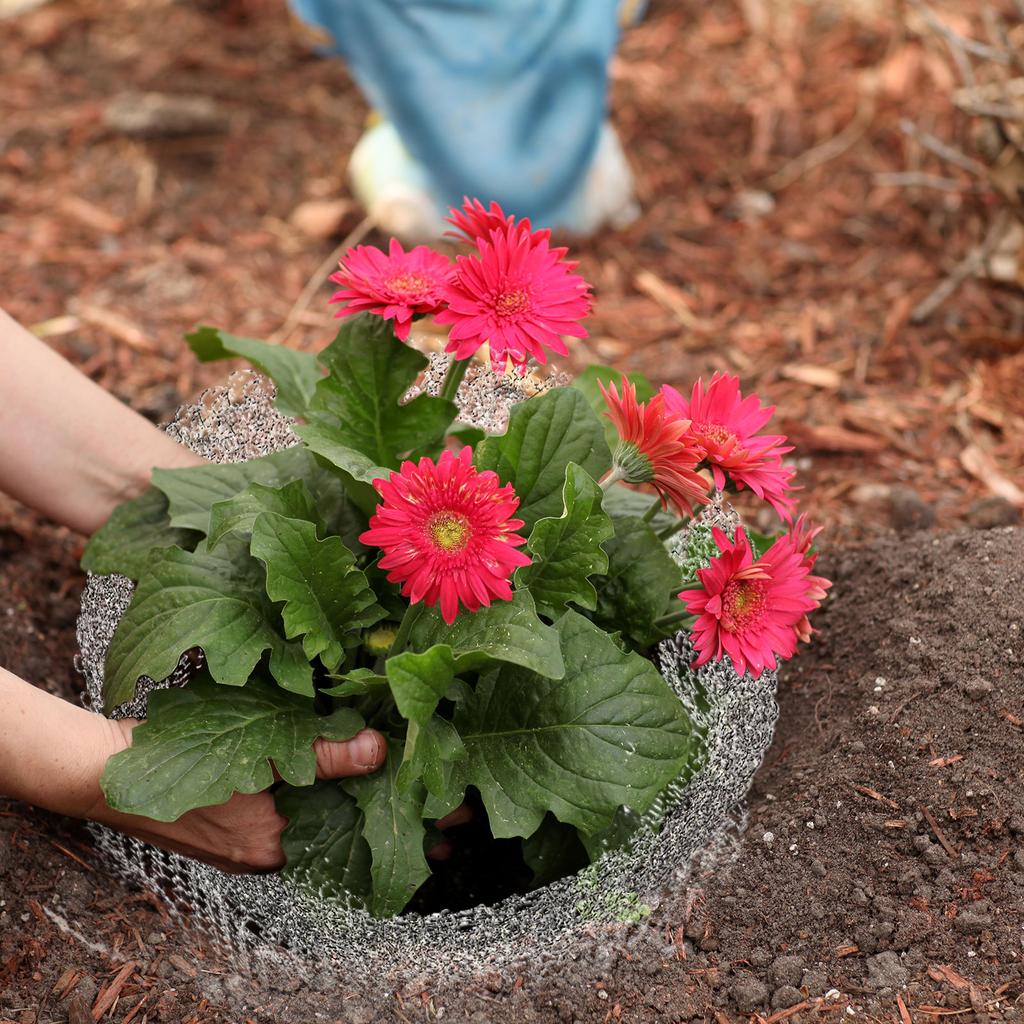 Plant Root Protector 304 Stainless Steel Plant Root Protection Mesh Bag for Fruits Berries Vegetables