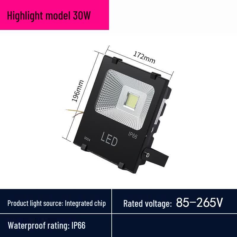 Lishi 50W Outdoor Garden Flood Light