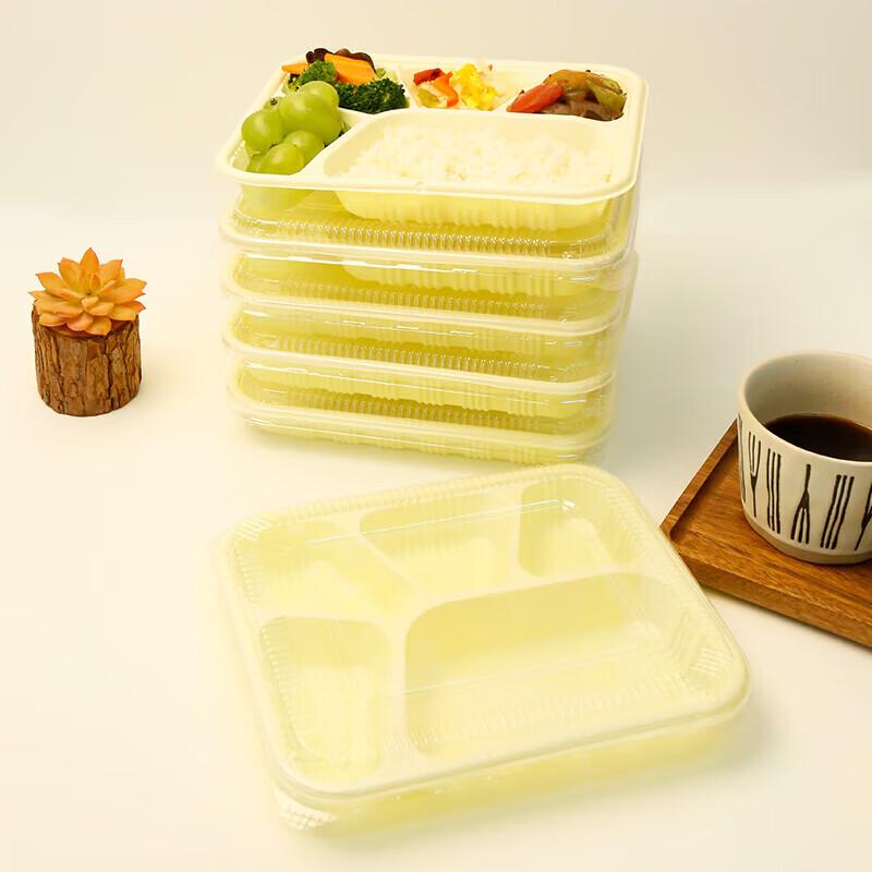 Disposable 5-Compartment Lunch Box