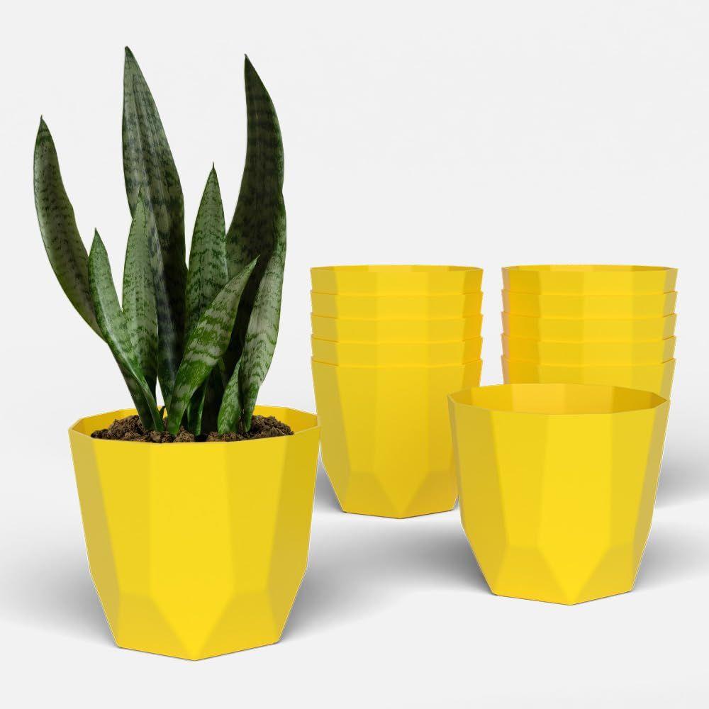 Hexa 8 Inch Pack of 12 Piece Plastic Plant Pot for Home Decor Indoor Plant Pots for Living Room Plastic Flower Pot for Garden (Yellow)