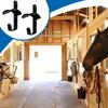 Metal Wall Mounted Saddle Rack 2pcs Bridle Holder for Equestrian Storage Suitable for Stable Wall Mount Installation