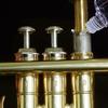 1Pcs Saxophone Instruments Key Oil Parts Slide 30Ml Valve Lubricating Oil For Saxophone Clarinet Trumpet Horn Brass Instruments