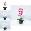 Phalaenopsis Aphrodite Rchb Artificial Plant With Silk Flowers For Home Decor And Gift Giving