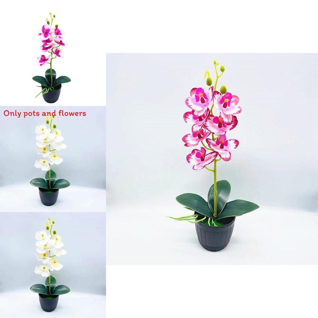 Phalaenopsis Aphrodite Rchb Artificial Plant With Silk Flowers For Home Decor And Gift Giving