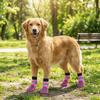 Anti Licking Dog Shoes Socks Adjustable Dog Foot Covers Anti-Slip Dog Socks  Anti-Scratch