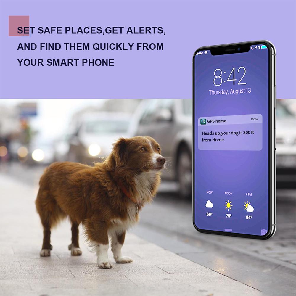 Buy Pet GPS Tracker Smart GPS Tracker for Dog 2G APP Control IP67 Waterproof at affordable