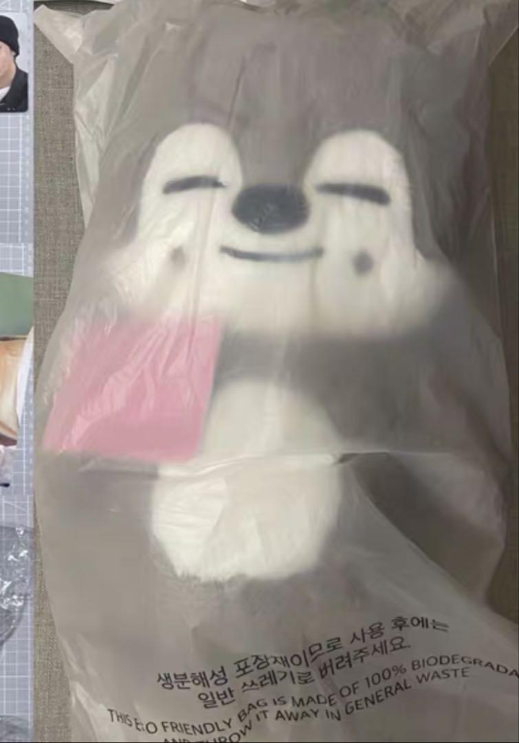 

[Б/У] Stray Kids SKZOO Волкчан Плюшевый мишка