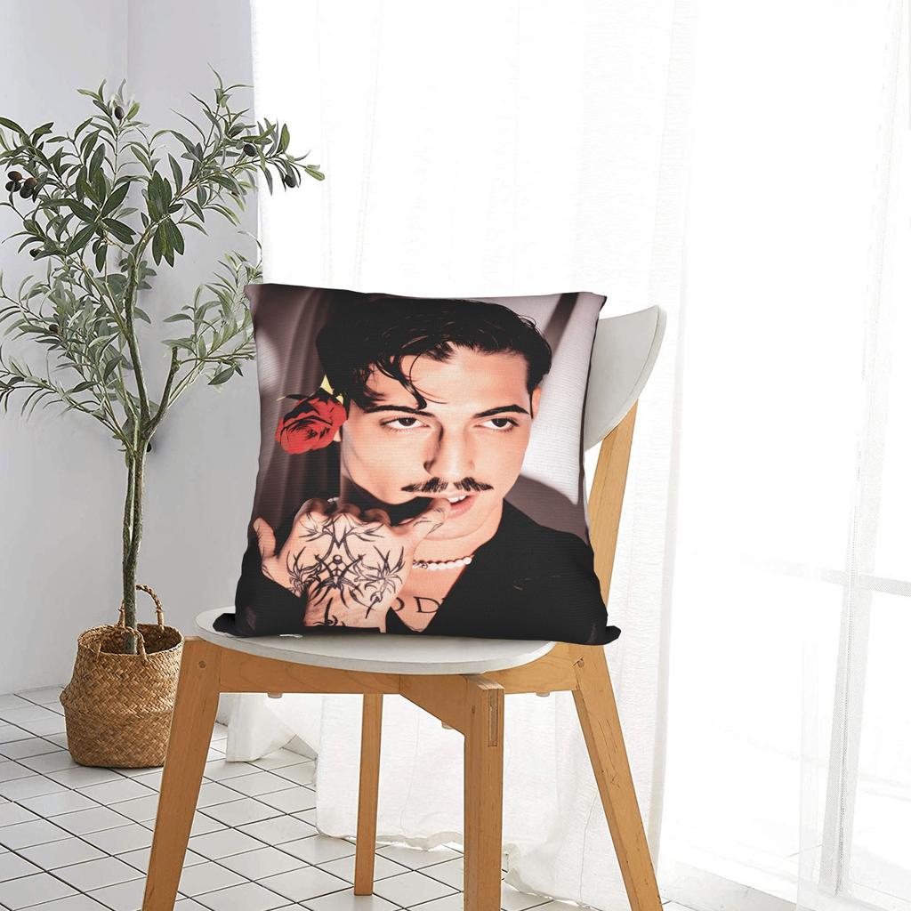 Pillow Cover Damiano David  Cute Funny Pillow Case For Sofa Couch Bed Living Room Pillowcases