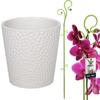Decoração de casa – Vasos de flores decorativos