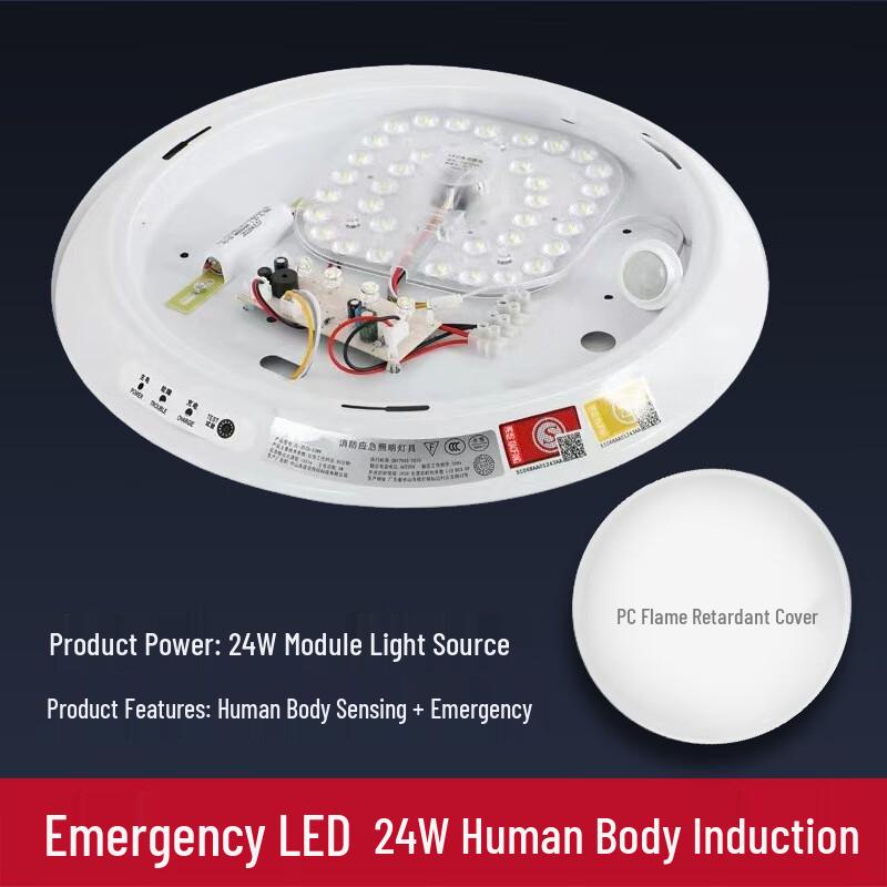 Brangdy Motion Sensor Emergency Ceiling Light 1